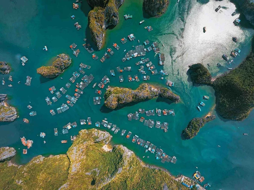Valley to Sea: Voyage through Vietnam